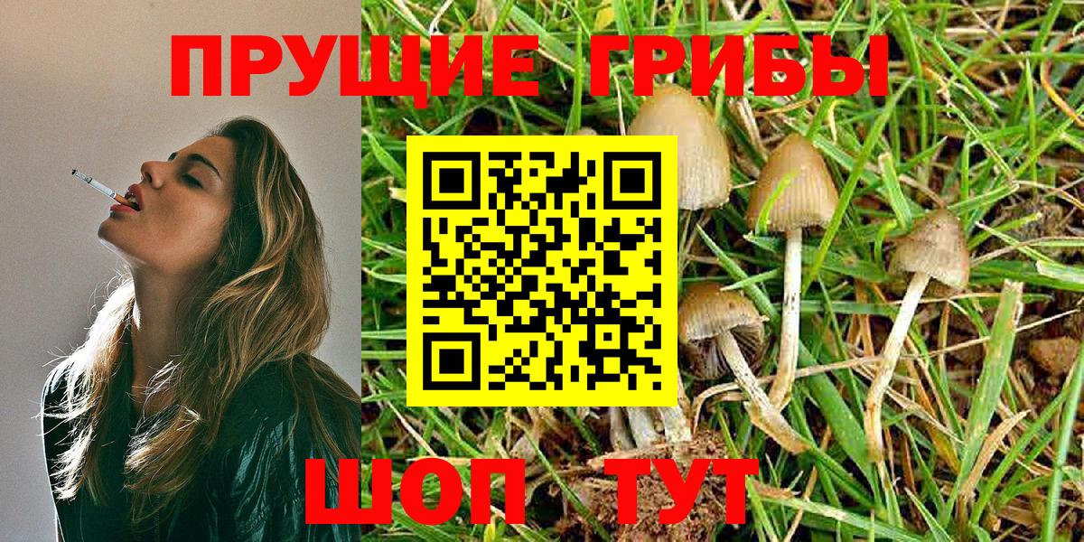 Галлюциногенные грибы MAGIC MUSHROOMS Славянск-на-Кубани