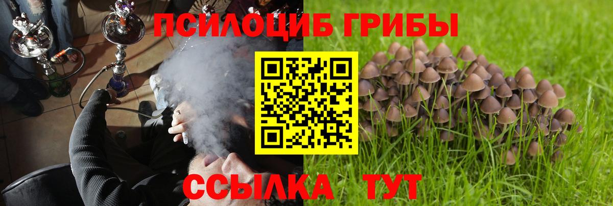 Псилоцибиновые грибы мухоморы  Галлюциногенные грибы Psilocybe  Славянск-на-Кубани  Вход с VPN 