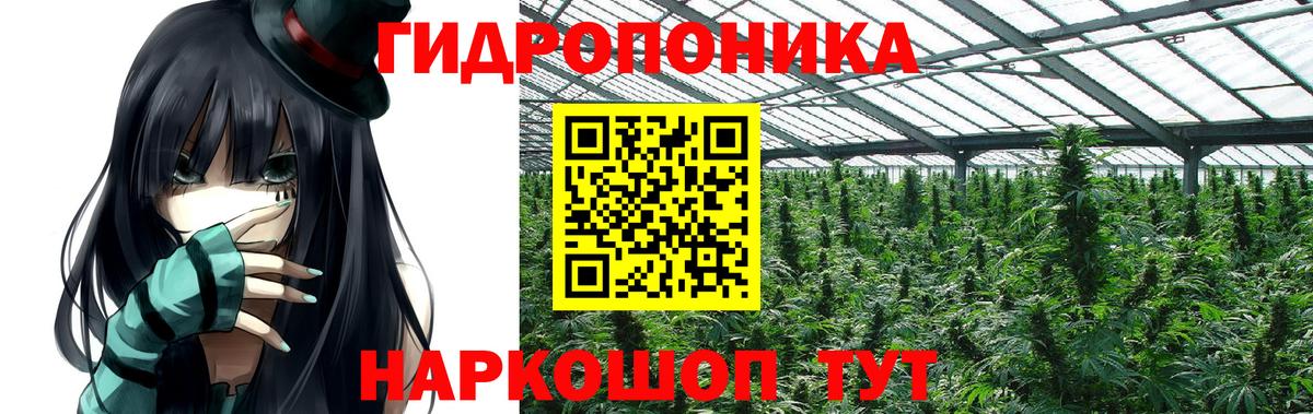 Бошки марихуана индика  Шишки марихуана индика  Славянск-на-Кубани  Вход с VPN  Канабис THC 21% 